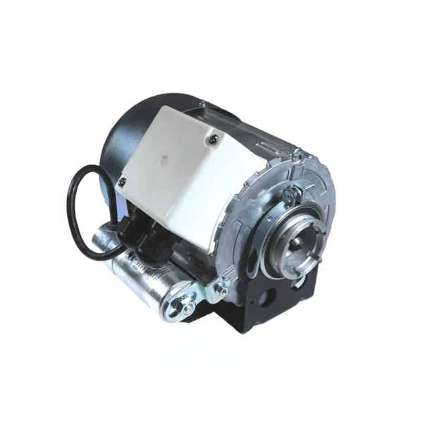110 V Pump Motor & Capacitor For Gs3